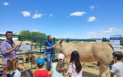 SICampo 2026 despliega un completo programa de actividades para acercar el campo a toda la familia